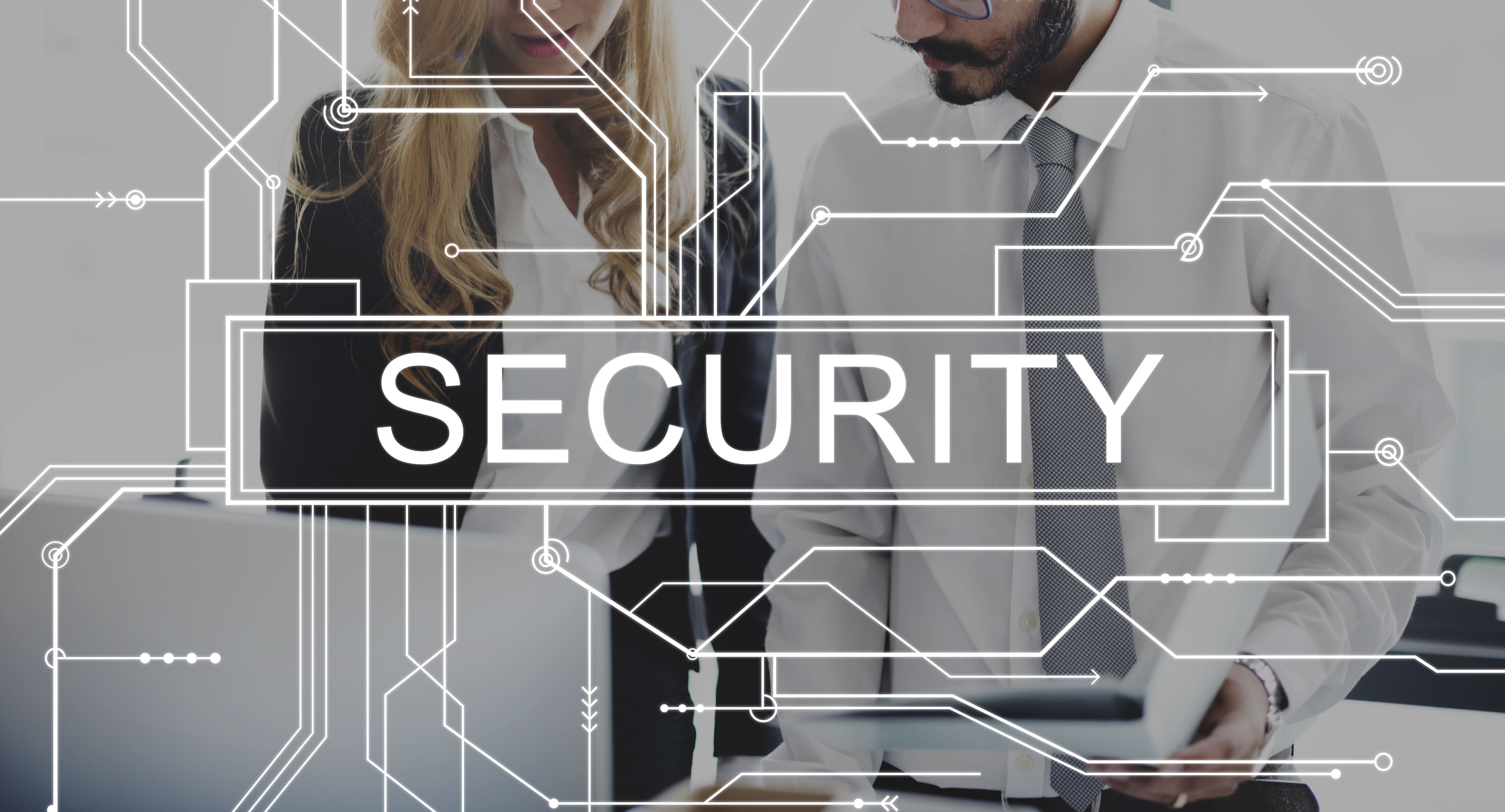 Security Consultation
